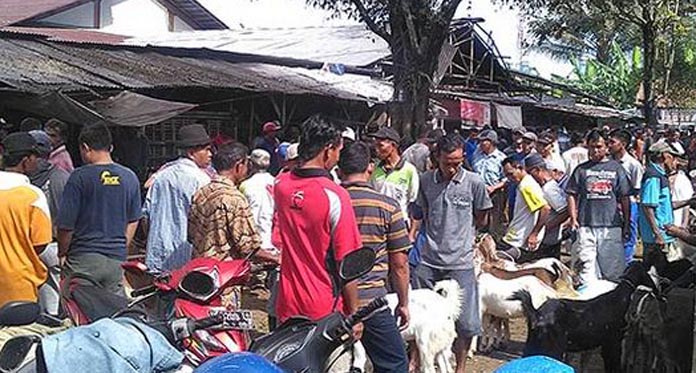 Pasar Hewan Kurban di Banyumas Masih Lesu Jelang Idul Adha