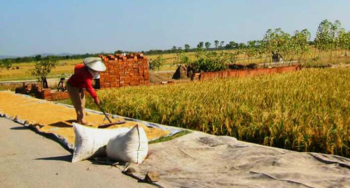 Pemilik Lahan di Atas 2 Ha Tidak Berhak Dapat KTI