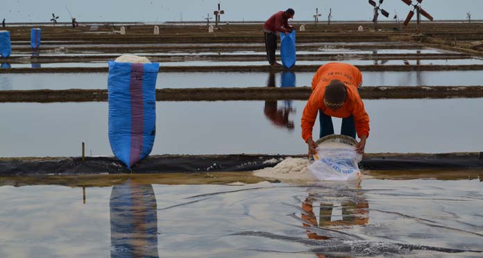 Impor Datang, Harga Garam di Tingkat Petani Langsung Anjlok