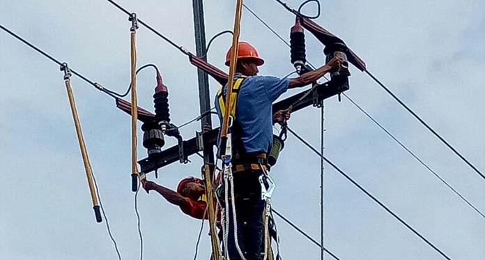 Perkuat Pemeliharaan Jaringan, PLN Cirebon Terjunkan Ratusan Personel