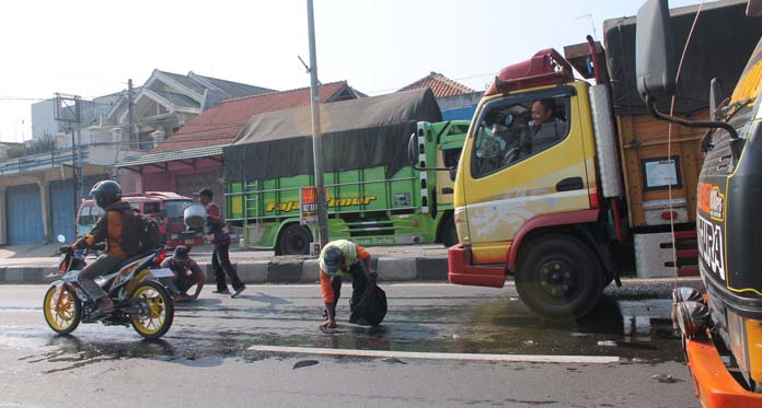 Tumpah saat Diangkut, Warga Berebut Lele di Jalan