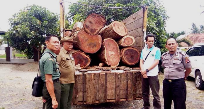 Pencuri Kayu di Hutan Gununga Ciremai Masuk Bui