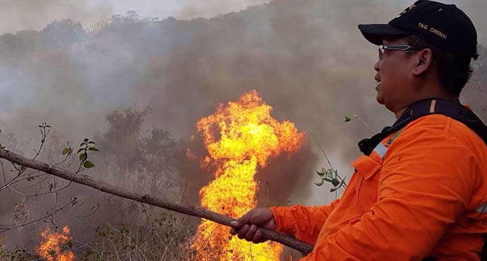 Kawasan Lereng Gunung Ciremai Terbakar, Puluhan Hektare Lahan Hutan Hangus