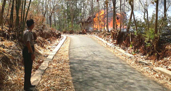 3 Kandang Terbakar, 7.000 Ayam Gosong