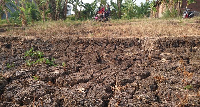 Pemkab Berlakukan Status Siaga Bencana Dulu, Anggaran Kemudian