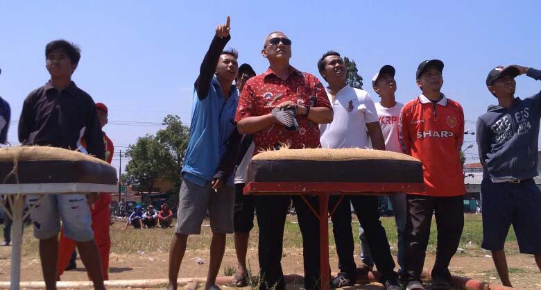 PMTI Helat Lomba, Bupati Acep Jajal Ketangkasan Merpati Kolongan