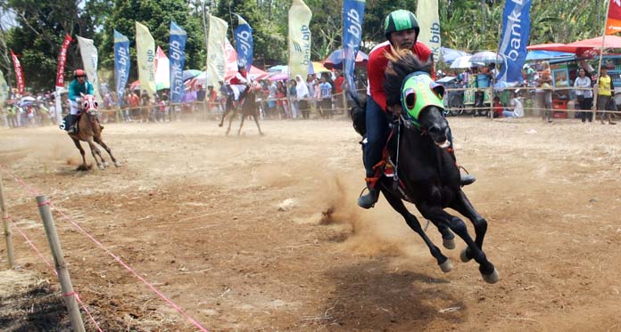 100 Kusir Delman Adu Cepat di Pacuan Kuda Tradisional