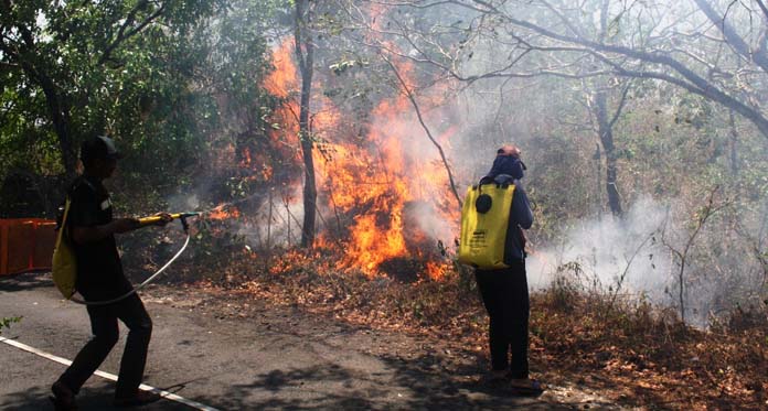 Diduga Karena Puntung Rokok, 80 Hektare Lahan Ciremai Terbakar