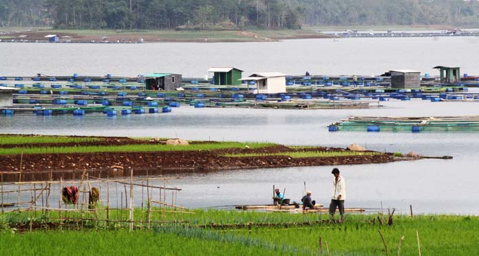 Untuk Irigasi, Debit Air Waduk Darma Terus Surut