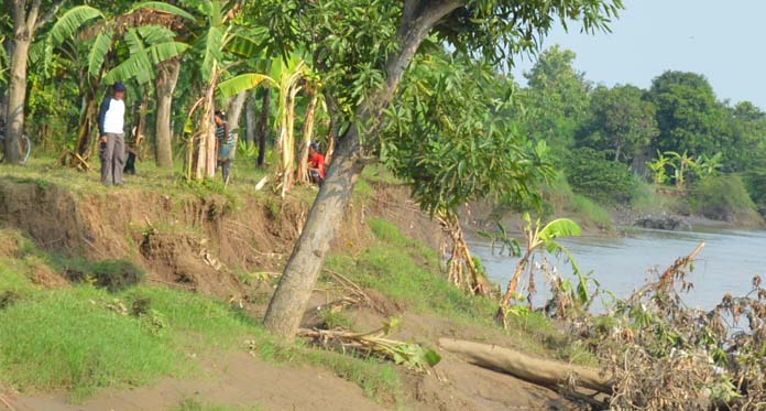 Memasuki Musim Hujan, Warga Terancam Tanggul Cimanuk Longsor