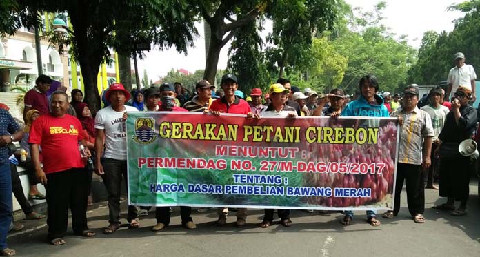 Harga Bawang Merah Terpuruk, Petani Minta Pemerintah Bertindak