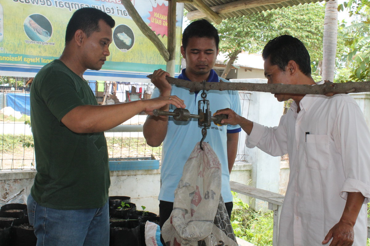 Hasil Panen Padi di Sukra Tembus 8,4 Ton Per Hektare