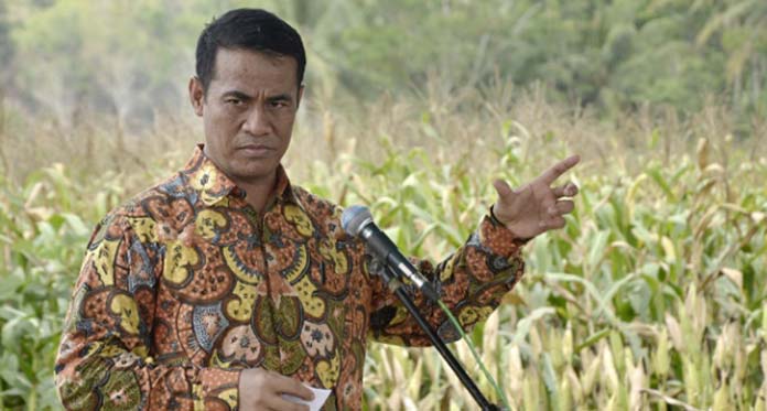 Pemerintah Jokowi Genjot Swasembada Gula, 10 Pabrik Dibangun