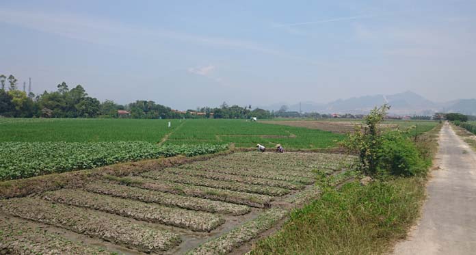 Pembebasan Lahan untuk TPA Molor, ITB Jadi Prioritas