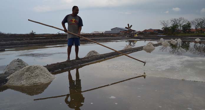 Produksi Garam Terkendala Cuaca, Panen Lebih Awal, Kualitas Menurun