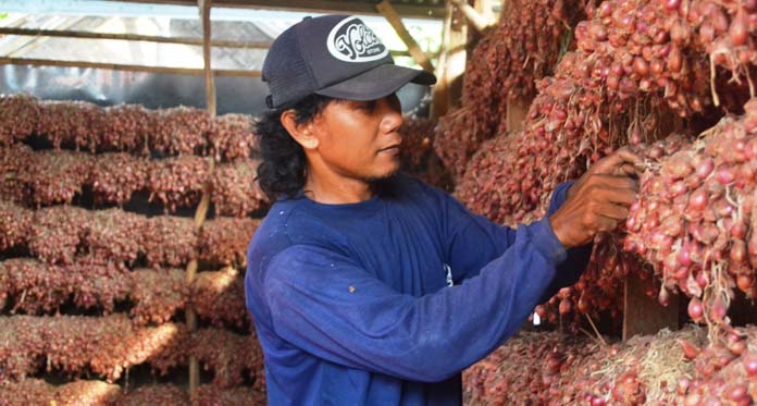 Disdagin Minta Kemendag Hentikan Impor Bawang