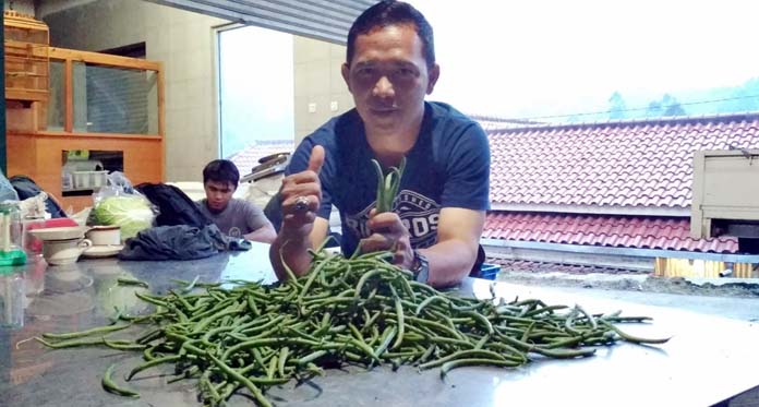 Ulus Pirmawan, Lulusan SD yang Terpilih sebagai Petani Teladan Asia-Pasifik