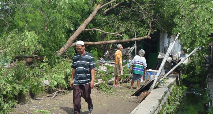 Rumahnya Rusak Parah Tertimpa Pohon Besar, Dua Lansia Tolak Dievakuasi