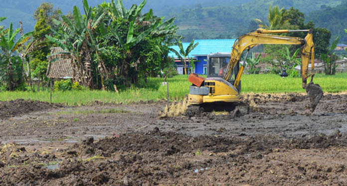 BPS Soroti Tingginya Perubahan Alih Fungsi Lahan