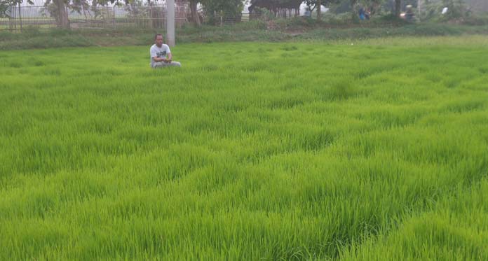 Suplai Air dari Bendung Rentang Tak Lancar, Petani Protes