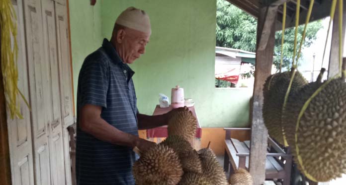 Durian Sinapeul Selalu Diburu, Abah Ujang: Jika Mentah dan Gak Enak Jangan Dibayar 
