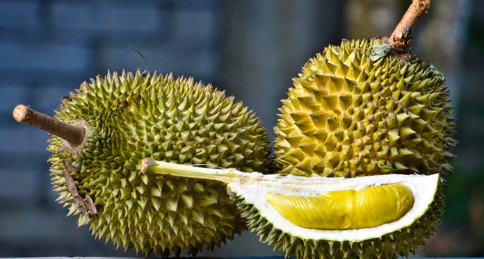 Buah Durian Ternyata Kaya Manfaat, Bolehkah Ibu Hamil Mengkonsumsinya
