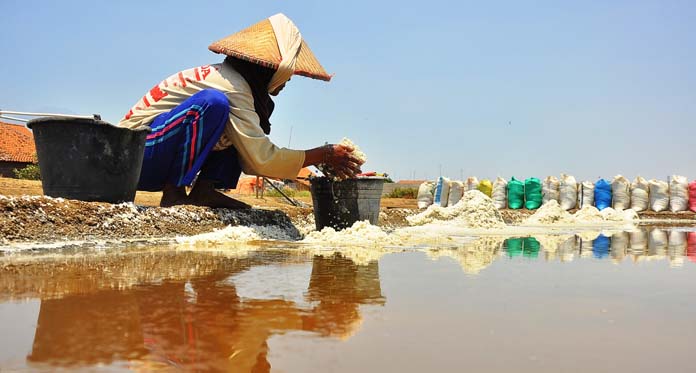 Ternyata Garam Petani Bisa Dimanfaatkan untuk Industri Spa