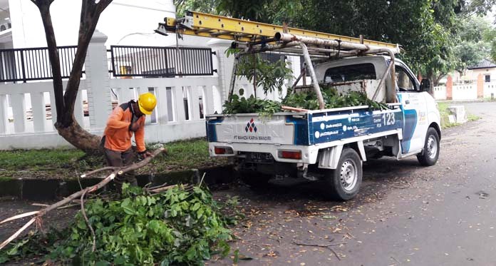 Ranting Pohon Kerap Jadi Penyebab Gangguan Listrik