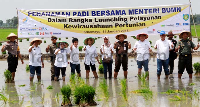 Indramayu Jadi Pilot Project Layanan Kewirausahaan Petani