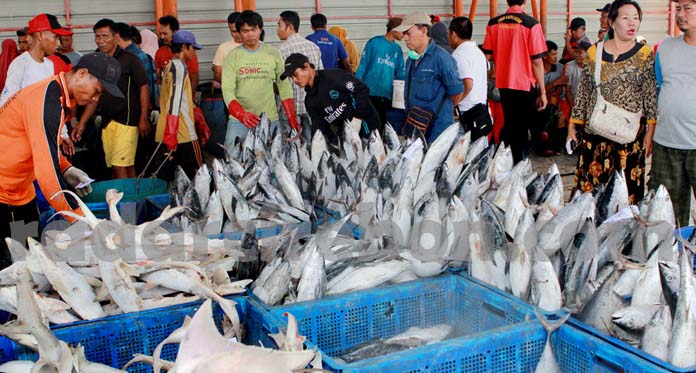 Nelayan Tak Melaut, Harga Ikan Melambung