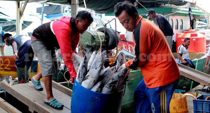 Ternyata Baru Separuh Nelayan Indramayu Ikut Asuransi