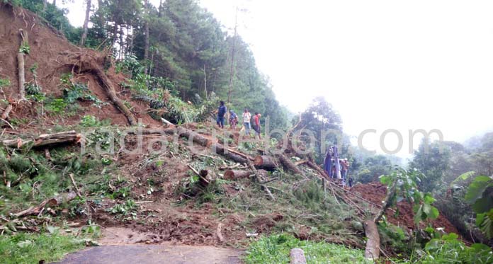 Longsor di Cilebak, Belasan Warga Rumah Rusak