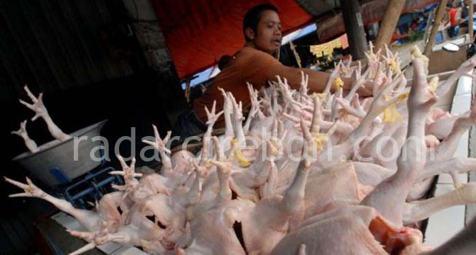 Harga Daging Ayam di Kota Cirebon Masih Tinggi