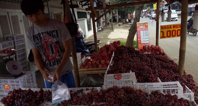 Buah Tiongkok Banjiri Cirebon, Disdagin: Impor Itu Kebijakan Pusat