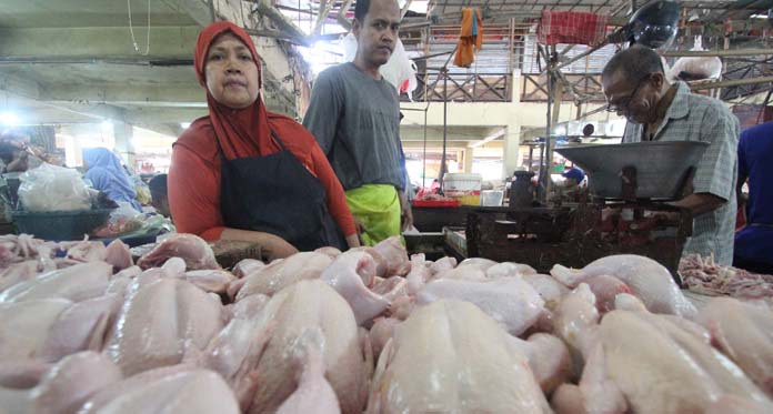 Harga Daging Ayam Meroket, Lebih Tinggi Dibanding Momen Lebaran