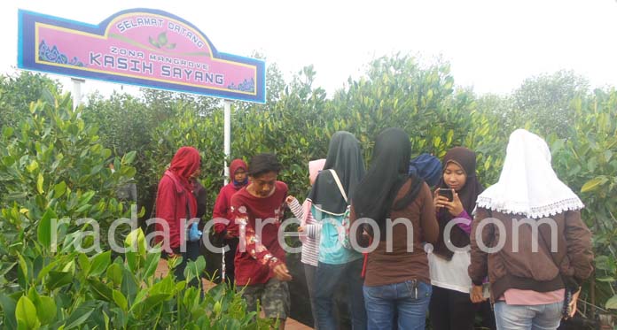 Wisata Mangrove Center Desa Mundu Pesisir yang Pertama di Kabupaten Cirebon