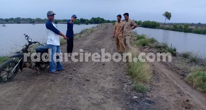 Jalan Rusak Hambat Aktivitas Petambak