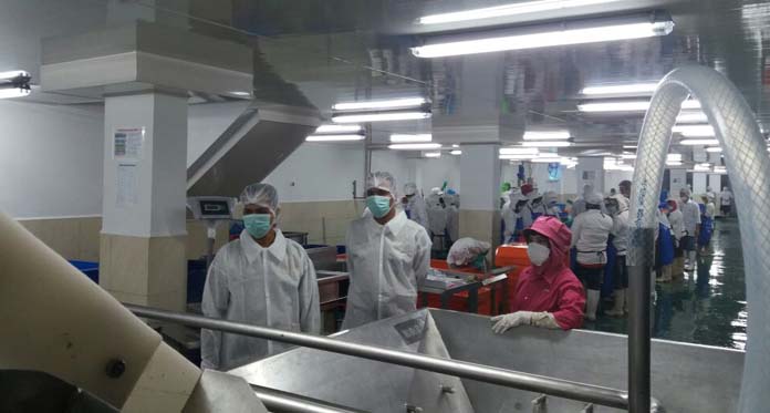 PT Java Seafood Berhasil Lakukan Diversifkasi Produk