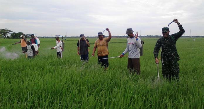 Koramil Bantu Sosialisasi Pemanfaatan Sampah Jadi Pupuk Organik