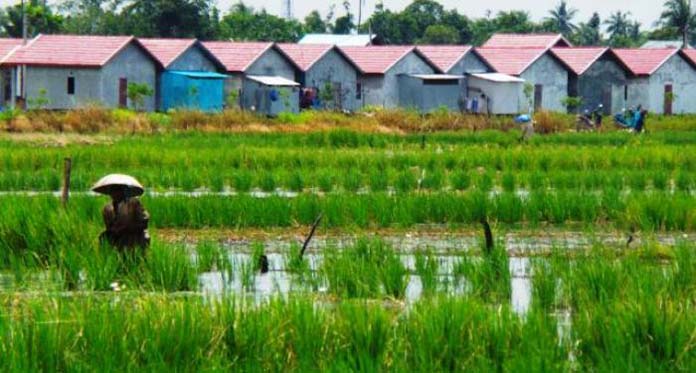 Zona Lahan Abadi Belum Jelas, Pemkab Cirebon Harus Siapkan 40 Ribu Hektare