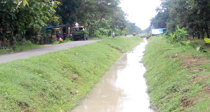 Pasokan Air Terhambat, Petani Desak Irigasi Lobener Dinormalisasi