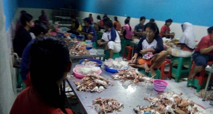 Kampung Nelayan Waruduwur, Sehari Bisa Produksi hingga 2 Ton Rajungan