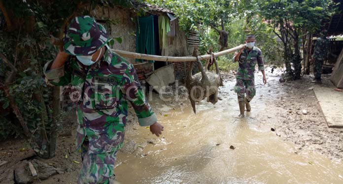 Warga Korban Banjir Diteror Bau Busuk dan Penyakit