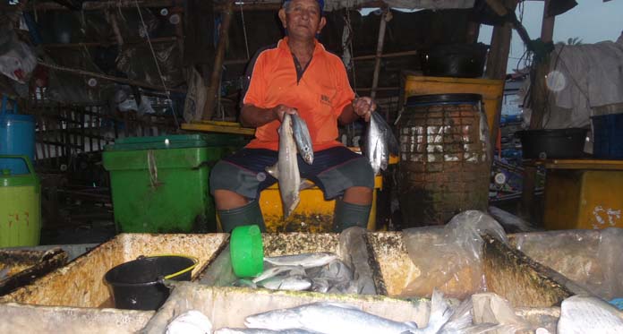 Harga Ikan Melonjak Dua Kali Lipat, Ini Pemicunya