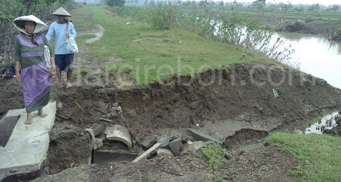 Tanggul Sungai Sewo di Indramayu Jebol, Sawah Petani Terancam Banjir