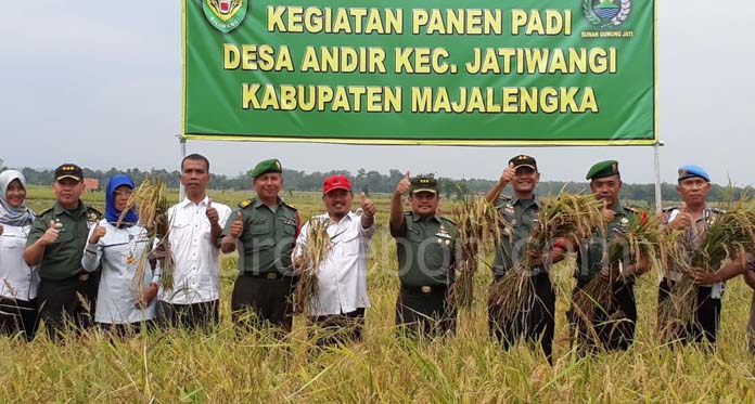 Tim Sergap TNI Pantau Panen Padi Petani di Jatiwangi