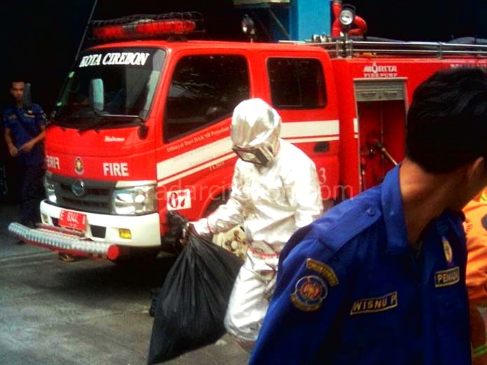 Menegangkan! Petugas Damkar Evakuasi Sarang Tawon di Graha Pena Radar Cirebon