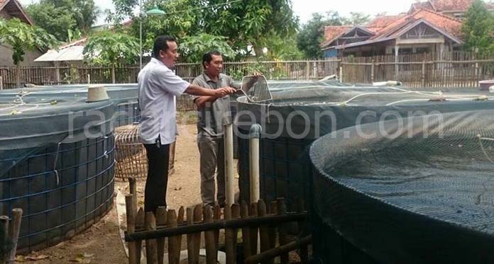 Petambak Ikan di Indramayu Mulai Gunakan Teknologi Bioflok