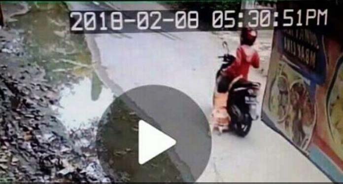 Duhh, Seorang Anak Kecil Diseret-seret Ibunya Menggunakan Motor