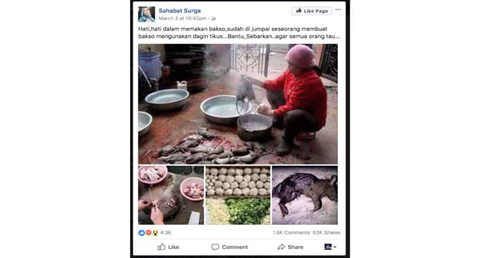 Daging Tikus di Vietnam Bukan untuk Bakso